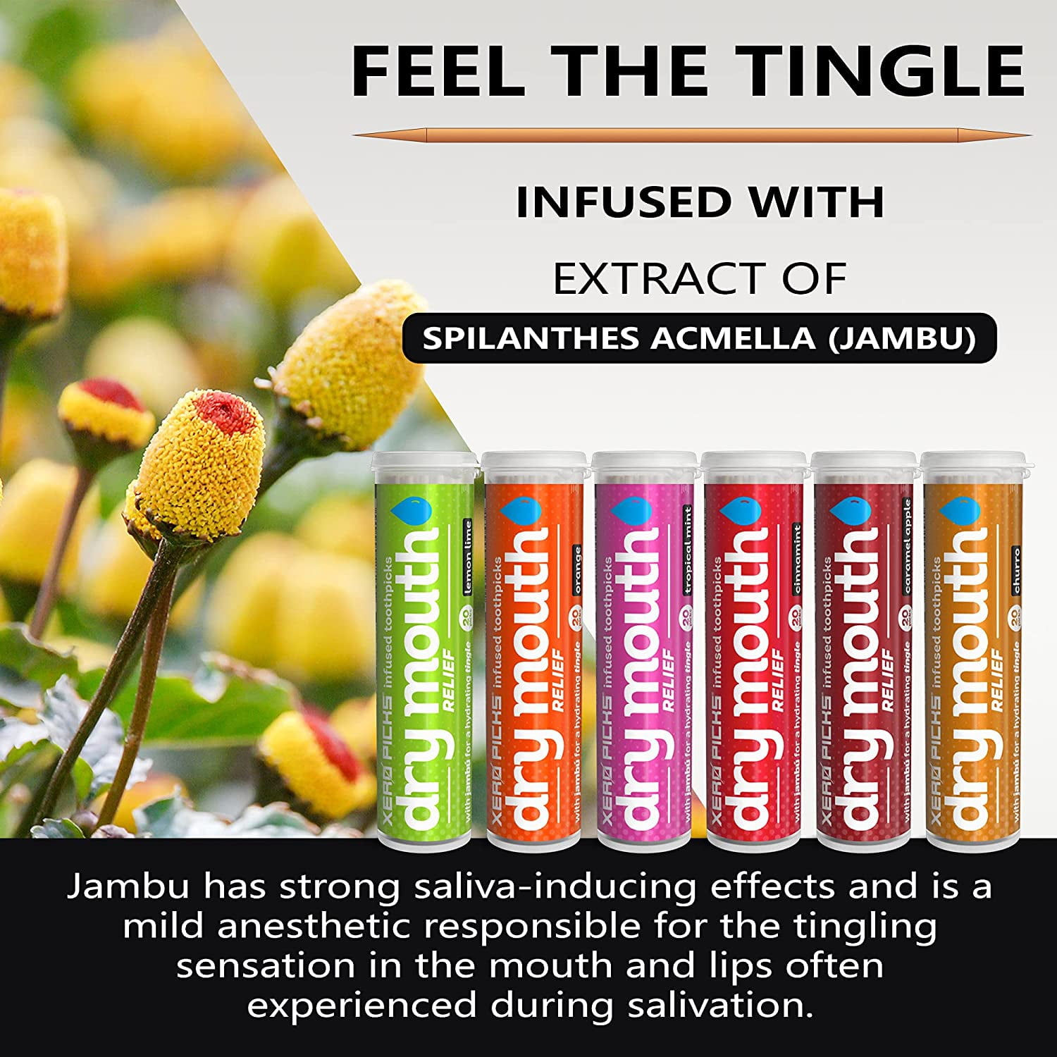 Dry Mouth Toothpicks – Xylitol Infused Flavored for Fresh Breath & Saliva Support Long Lasting Oral Hydration Variety 6 Pack (Cinnamon Mint, Churro, Caramel Apple More)