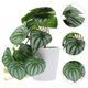 thumbnail image 4 of Planta artificial en maceta de escritorio, planta artificial en maceta, adorno para oficina y hogar., 4 of 8