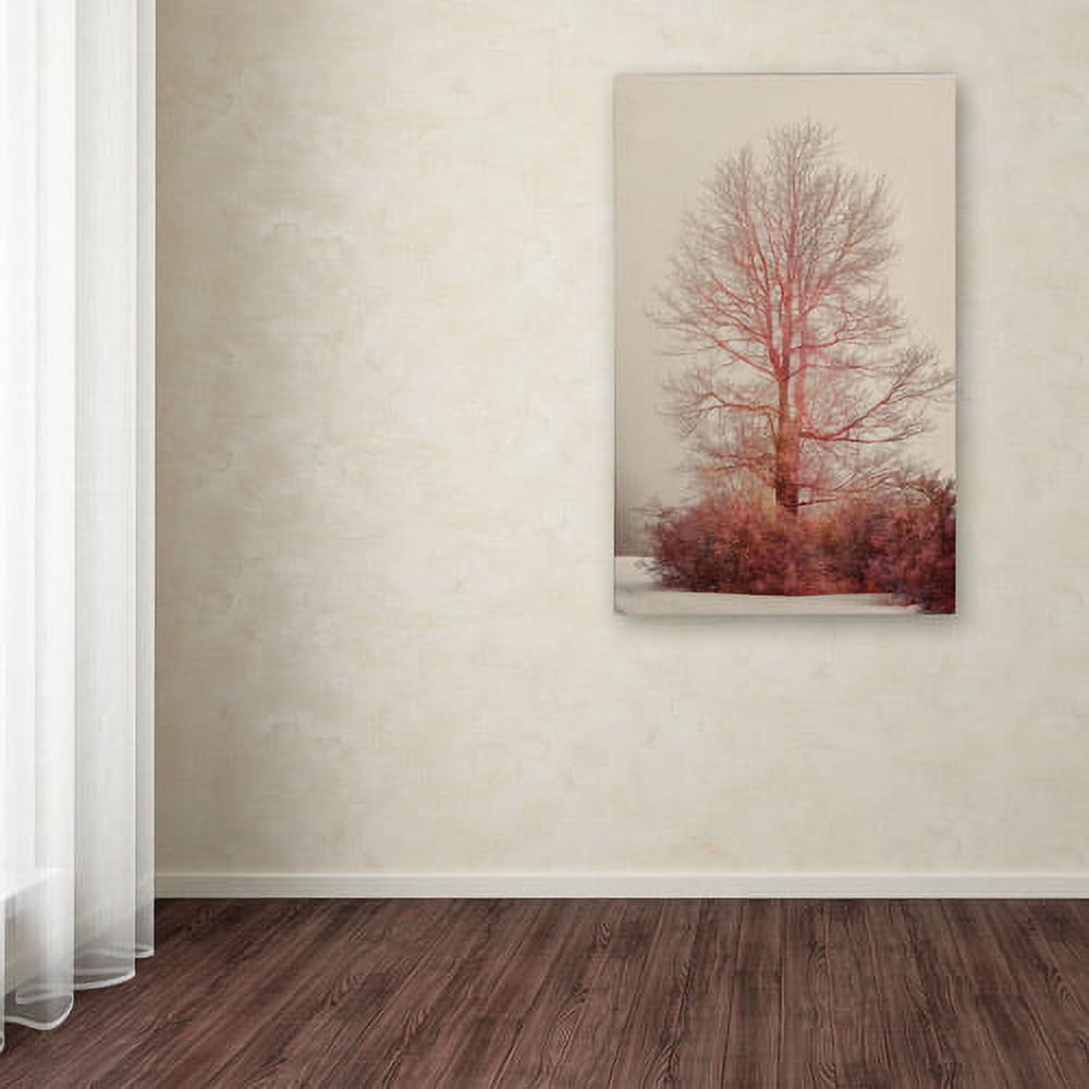 Trademark Fine Art "A-Blush in the Fog" Canvas Art by Lois Bryan