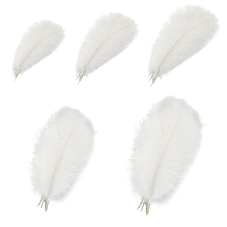 Hapeisy 10pcs White Natural Ostrich Feathers for Party, Wedding, Masquerade  and Home Decorations Crafts 