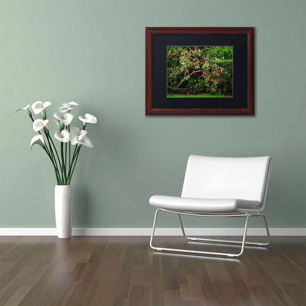 Trademark Fine Art "The Apple Tree" Canvas Art by Philippe Sainte-Laudy, Black Matte, Wood Frame