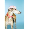 thumbnail image 6 of Doggy Parton Dog Clothes, Cowgirl Dog Hat with Tiara, Pink, XS/S, 6 of 8