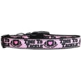 thumbnail image 2 of Pet Dog  Cat Nylon Collar or Leash, "Tackle Breast Cancer", 2 of 2