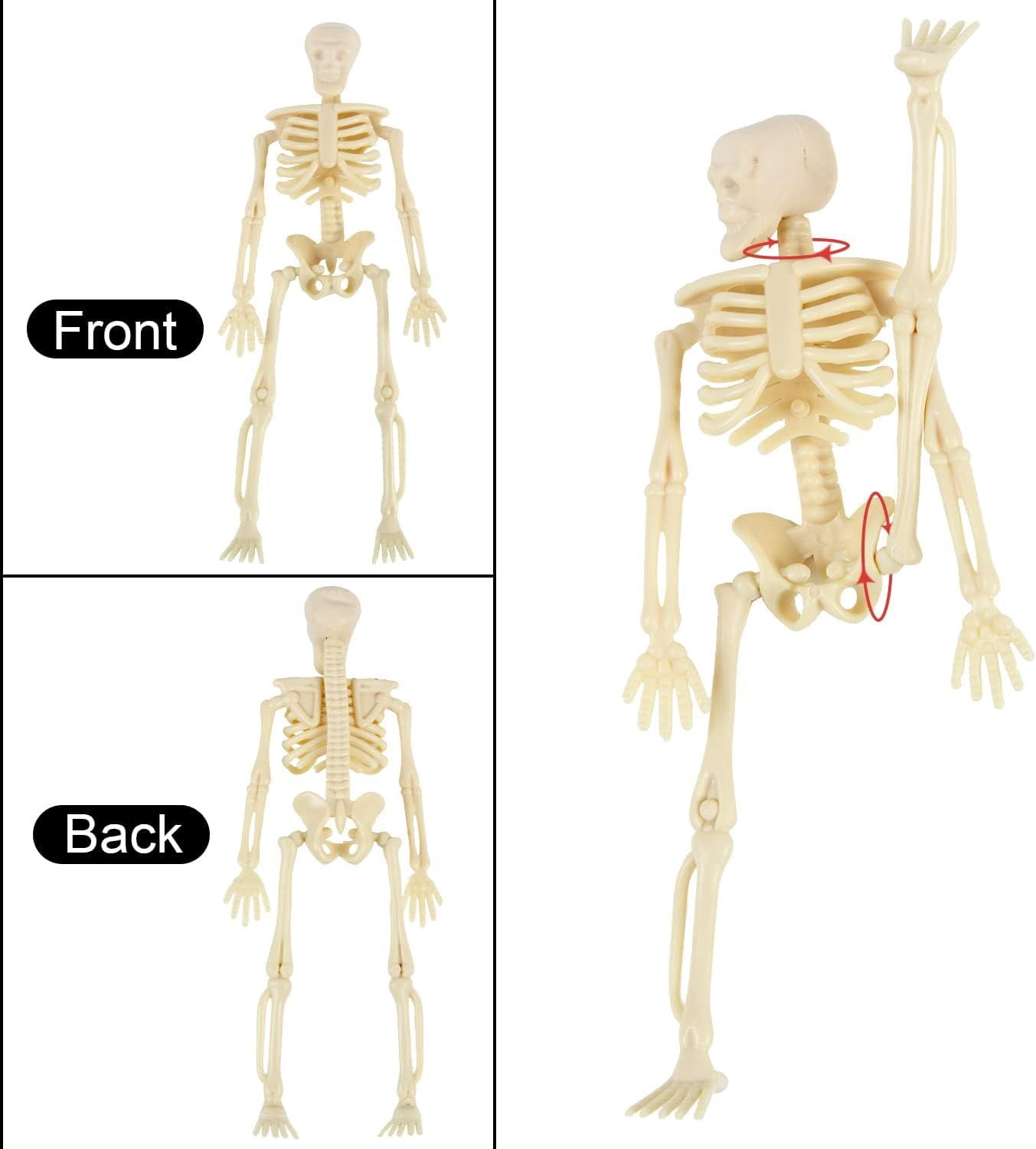 6 Pack Posable Mini Skeleton Figurines with Jute Rope for Halloween Decor