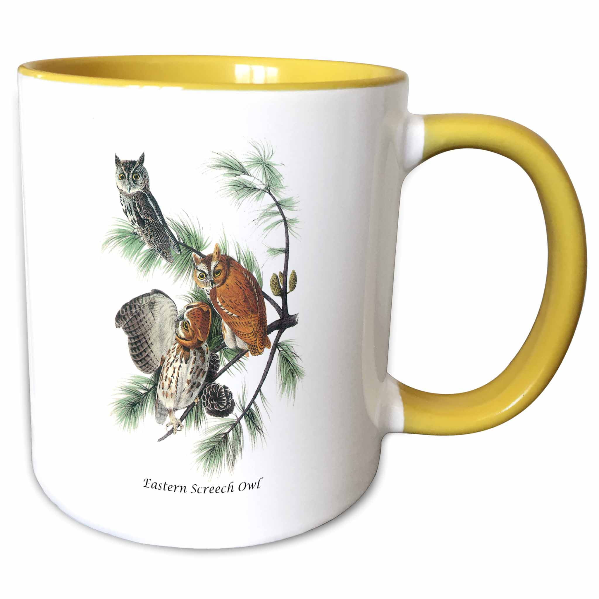 11oz mug Audubon Purple Martins Bird Printed Ceramic Coffee Tea Cup Gift 