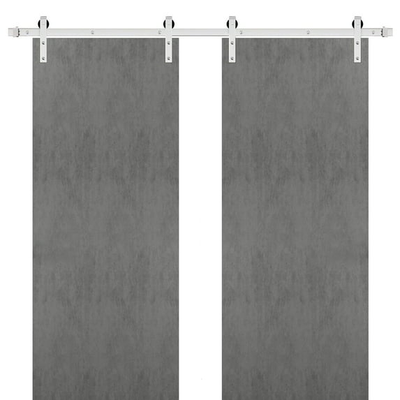 Sturdy Double Barn Door 64 x 80 inches with | Planum 0010 Concrete | Stainless Steel 13FT Rail Hangers Heavy Set | Solid Panel Interior Doors