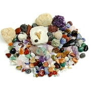 Dancing Bear Rock, Mineral & Fossil Collection Activity Kit with ID Sheet & Rock Book, Plus Ammonite, Shark's Tooth in Matrix, Fossilized Poo, 2 Geodes & Arrowheads,(Over 125 pcs and NO Gravel) Brand