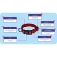 thumbnail image 3 of Large Grey Halti Comfort Padded Adjustable Strong Reflective Dog Collar, 3 of 6