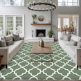 thumbnail image 3 of 6'x9' Area Rugs, Sage Green Morocco Indoor Outdoor Area Rug for Living Room Bedroom, Minimalist Boho Ethnic Abstract Motif Washable Bathroom Rugs Kitchen Floor Carpet Mats Home Decor Aesthetic, 3 of 8