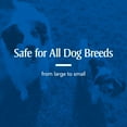 thumbnail image 4 of PETARMOR Sure Shot 2X Liquid Wormer for Dogs and Puppies, 4 of 10