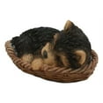 thumbnail image 2 of Lifelike Yorkshire Terrier Puppy Dog Sleeping In Wicker Basket Statue Yorkie Pet, 2 of 8