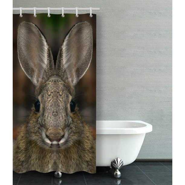 BPBOP Bunny Rabbit Shower Curtain Bathroom Curtain 36x72 inches ...