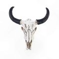 thumbnail image 3 of Vintage 3D Horned Skull Resin Wall Hanging Decor for Home Office Animal-Inspired Craftsmanship Gift Idea, 3 of 5