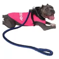 thumbnail image 5 of Correa Para Perro Grande/ Mediano Trenzada Resistente 120cm, 5 of 5