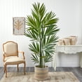 thumbnail image 4 of Nearly Natural 7ft Kentia Palm in Natural Cotton Multicolored Woven Planter, 4 of 4