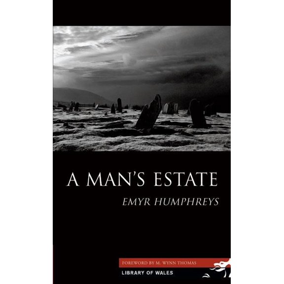 Library of Wales: A Man's Estate (Paperback)