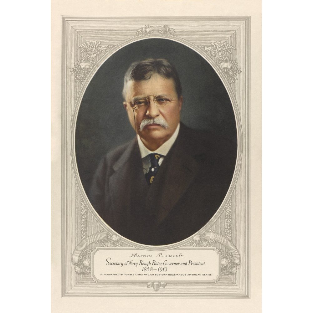 Write a thumbnail sketch of theodore roosevelt 08 image