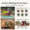 thumbnail image 4 of Birdfy Smart Bird Feeder with Camera, Solar Powered & 9000mAh Battery, Metal Design with 2.5L Capacity, Lifetime Free Bird ID, Perfect Gift for Bird Lovers, Garden Green, 4 of 10