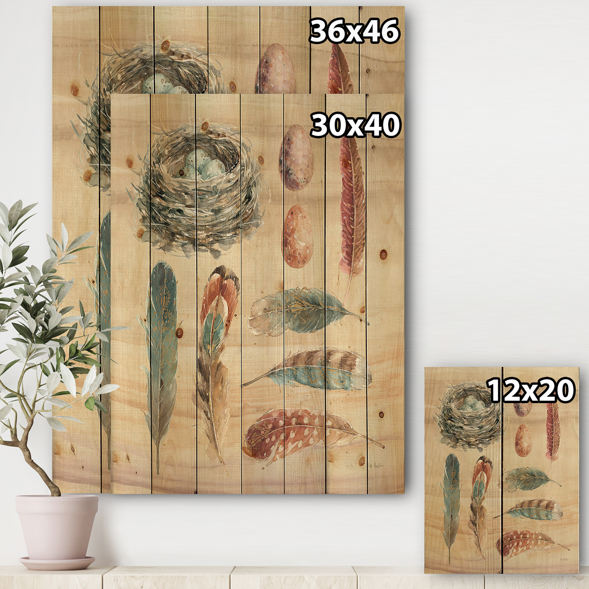 Designart 'Cottage Feathers Family I' Farmhouse Print on Natural Pine Wood