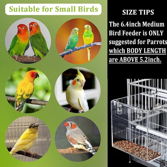 Automatic No Mess Bird Feeder for Cage Birds - Acrylic No Spill Bird Feeder for Parakeets, Cockatiels, and