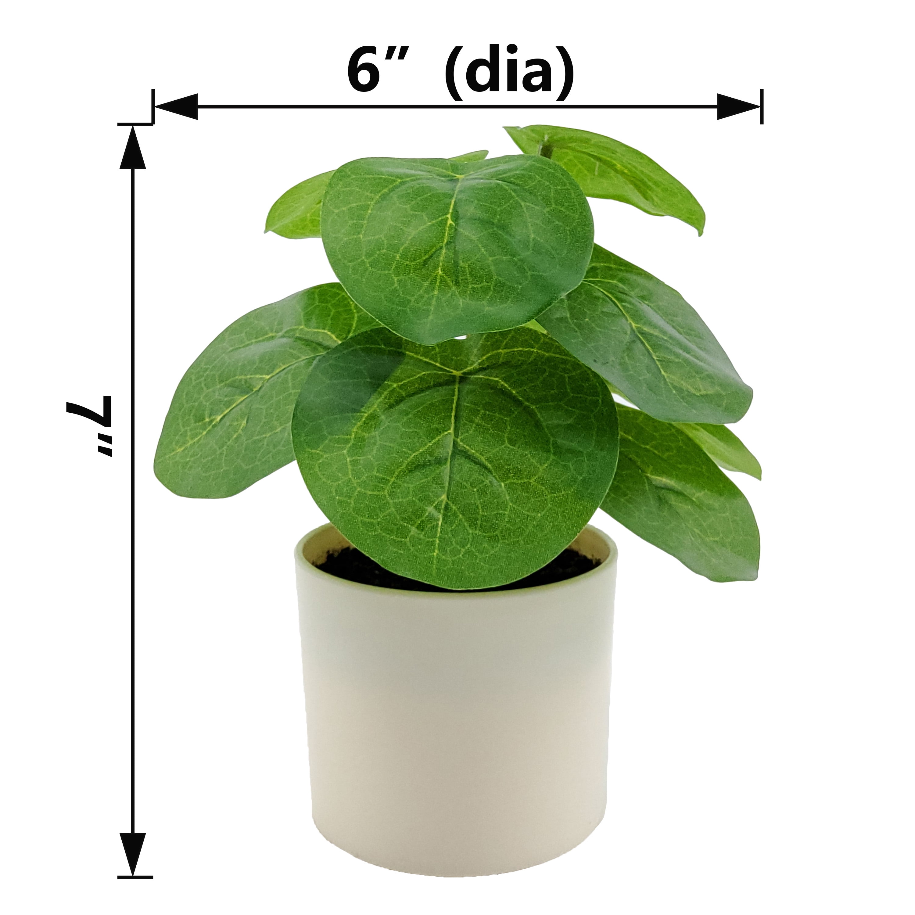 Mainstays Indoor Artificial 7in Money Plant in Pot, Green Color.