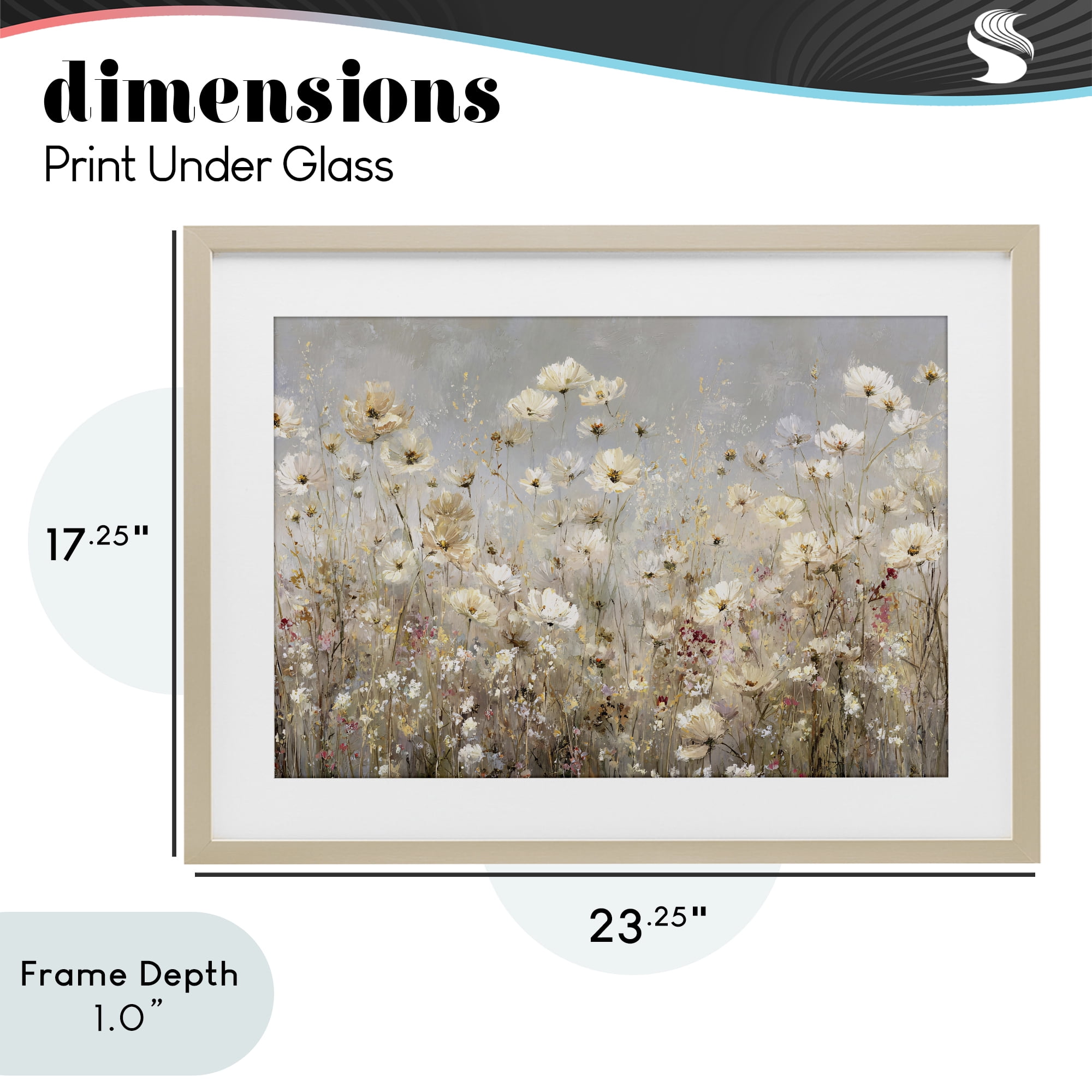 Stupell Industries White Daisy Clusters Meadow Birch Framed Print Under Glass, design by Jacky Ngan