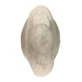thumbnail image 3 of Décoration HOMETRENDS, 3 of 5