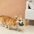 thumbnail image 4 of Jouet Interactif pour Chiots avec Activité d'Enrichissement Câlin Compagnon Anti-Stress pour Animaux, 4 of 5