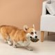 thumbnail image 4 of Adorable muñeca interactiva para perros y gatos. Juguete masticable suave y gracioso para cachorros estresados. Compañero adorable. Actividad enriquecedora para animales., 4 of 6