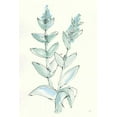 thumbnail image 2 of Paschke, Chris 17x24 White Modern Wood Framed Museum Art Print Titled - Lambs Ear Sage III, 2 of 4