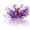 Deer in Purple Inklike Vapor, variant on 1 Pcs 2D Flat License Plate Covers & Frames, Deer in Purple Inklike Vapor For Decorative Front, Waterproof For Decoration Aluminum License Plate Covers & Frames Cover For Men Women, 12" X 6"