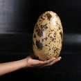 thumbnail image 3 of Small Theropod Dinosaur Egg Life Size Statue, 3 of 8