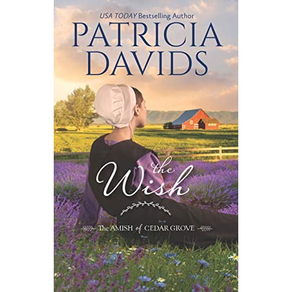 Pre-Owned The Wish: A Clean & Wholesome Romance (Mass Market Paperback) 1335006761 9781335006769