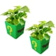 thumbnail image 2 of Maceta Decorativa 3D Joker JokeFlowy 2 Pzs 14x14x14cm Verde Amarillo y Negro No incluye Planta., 2 of 2