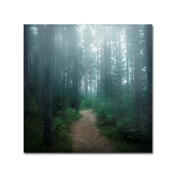 Trademark Fine Art 'The Forest Of Secrets' Canvas Art by Christian Lindsten