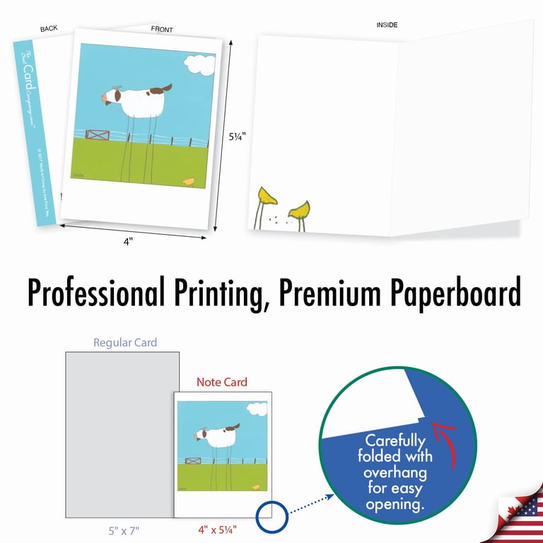 Nobleworks Blank Note Cards With Envelopes – 10 Assorted “Over The Top” Designs – M2006