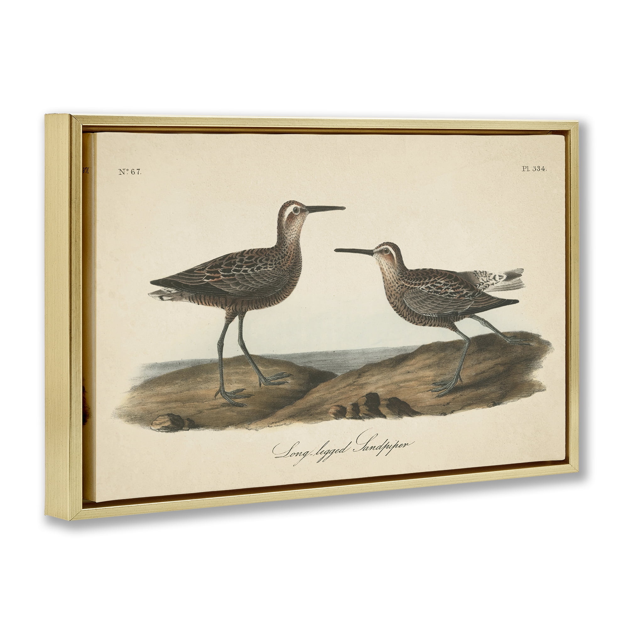 Stupell Industries Long Legged Sandpiper Animals & Insects Painting Gold Floater Framed Canvas Art Print Wall Art, 31 x 21