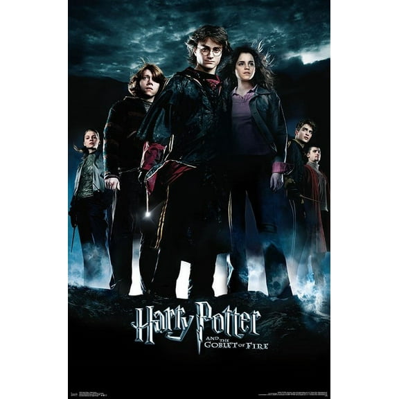Harry Potter - Goblet Group Poster Print (22 x 34)