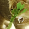 thumbnail image 3 of Realistic Celery Cat Chew Toy, Durable Felt Dental Teething Toy for Kittens & Aggressive Chewers, Interactive Catnip Toy for Indoor Play, 3 of 7