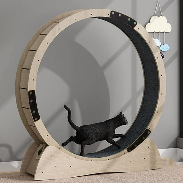 SURJDE Grande Roue d'Exercice pour Chat, Diamètre Extérieur 120 cm, Roue pour Chat avec Verrou de Sécurité et Tapis à Griffer Remplaçable, Rouleau Silencieux, Roue de Course pour Chat, Convient à la Perte de Poids d'Un Chat d'Intérieur