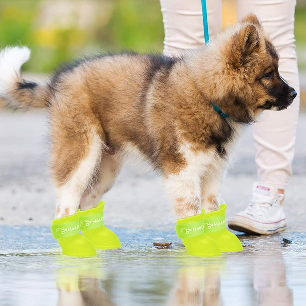 Bqhagfte 16 Pieces Pet Snow Shoes Dog Rain Boots Candy Colors Dog Silicone Booties Waterproof Anti Slip And Adjustable For Rainy Snow Weather