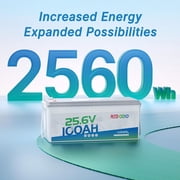 Redodo 24V 100Ah LiFePO4 Battery Deep Cycle Lithium Battery with 100A BMS, 2560Wh, up to 15000 Cycles, 10-Year Lifetime, Perfect for Solar Home System