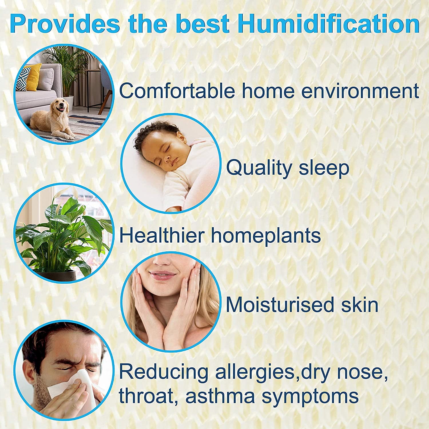 Essick air humidifier 826 000 filter deals