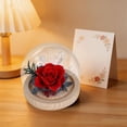 thumbnail image 4 of Preserved Real Flower Glass Dome Eternal Carnation Rose Display For Home Tabletop Decor Gift, 4 of 9