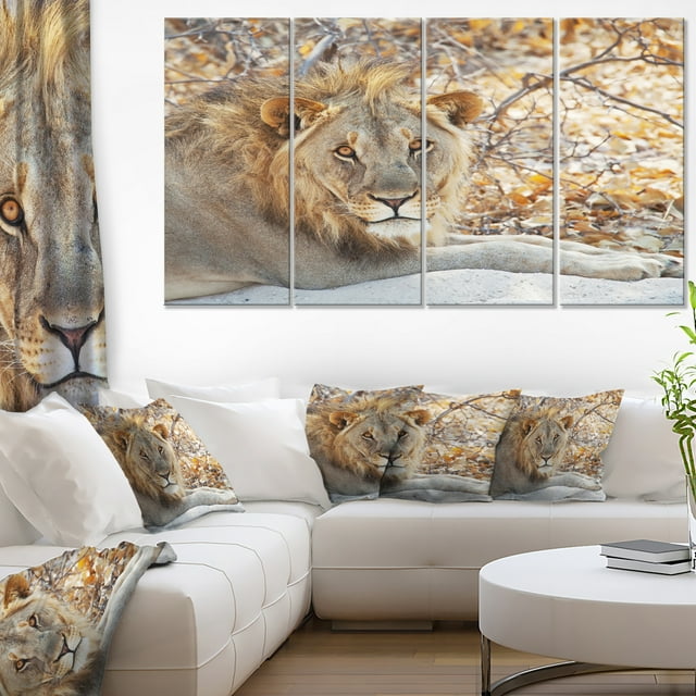 Lion Solitaire Se Reposant dans la Forêt - Impression sur Toile Africaine