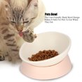 thumbnail image 4 of Suministros De Alimentación Cuenco Para Mascotas Cuenco Inclinado Para Perros Y Gatos Cuenco Para Mascotas, 4 of 8