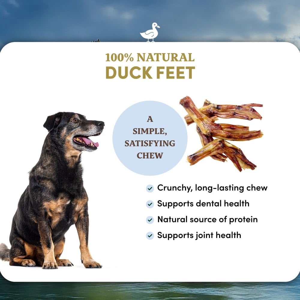 Oldfield Naturals Duck Feet Dog Treats, Dehydrated Duck Feet for Dogs, Single Ingredient Duck Dog Chews, Crunchy Natural Dog Snacks for Picky Dogs, 4 lb 6 oz Bulk Bag, All Breeds