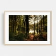 thumbnail image 2 of In the Woods at Puffers Pond, Amherst 01 - Amherst Massachusetts Photography Forest Nature Woodland Lake Autumn Scenic Wilderness Unframed Wall Art Print 5 x 7 inches, 2 of 7