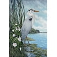 thumbnail image 2 of Harris, James 23x32 White Modern Wood Framed Museum Art Print Titled - Great Blue Heron, 2 of 4