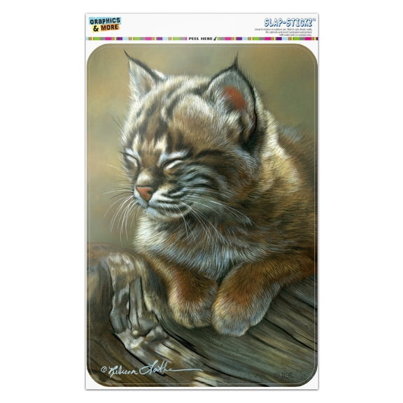 Baby Young Bobcat Kitten Home Business Office Sign